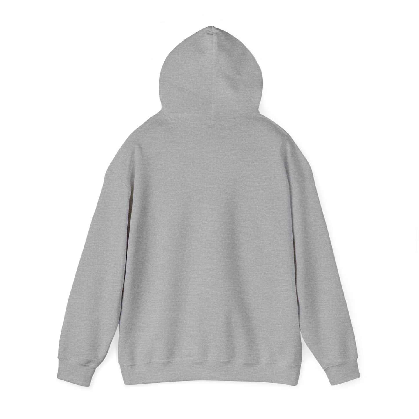 World Apart Compass Unisex Heavy Blend™ Hooded Sweatshirt