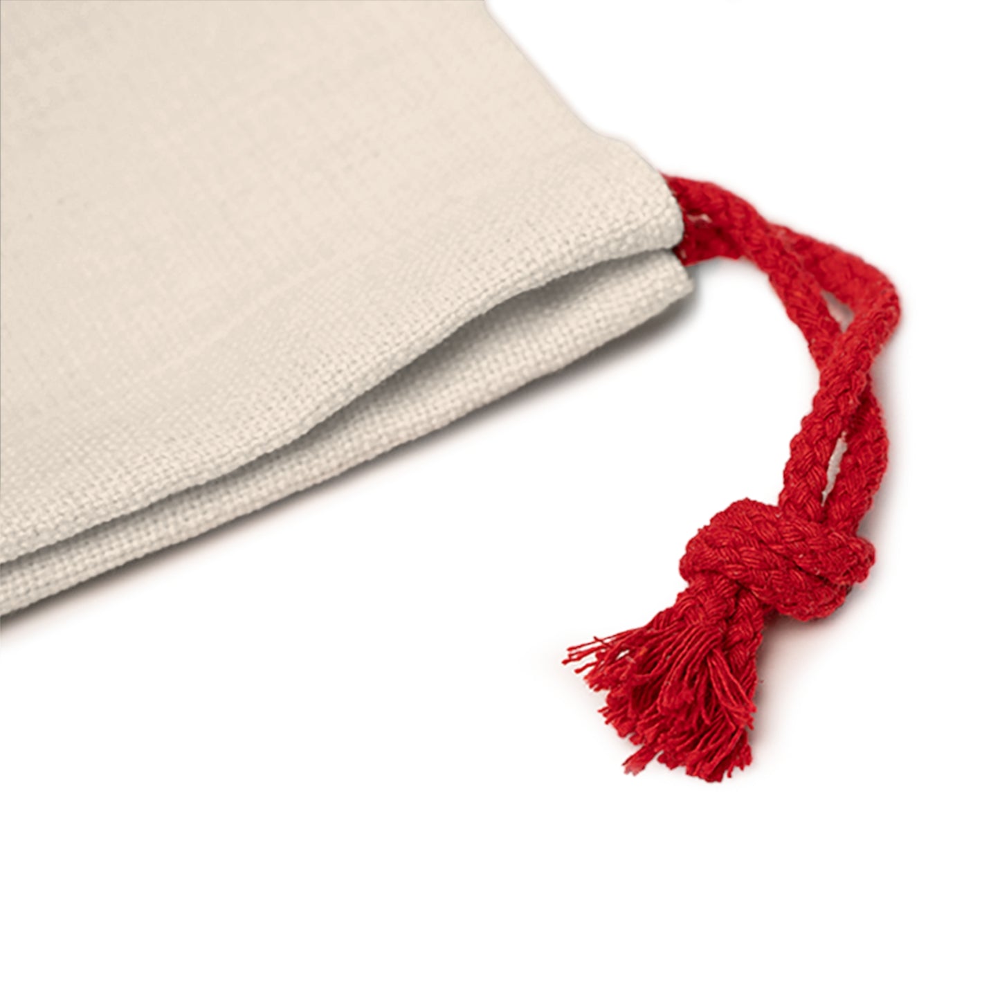 Tis the Season Gift Bag